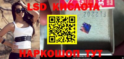 дживик Новозыбков