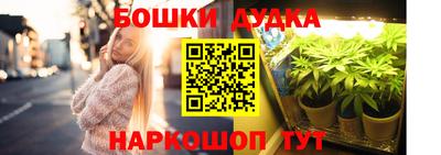 дживик Новозыбков