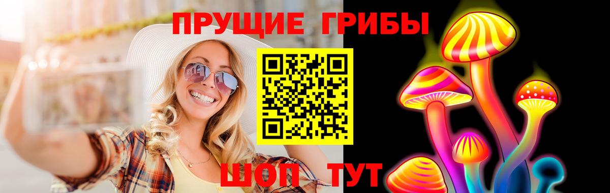 Чернушка  Галлюциногенные грибы GOLDEN TEACHER  цены   Вход с VPN  Псилоцибиновые грибы Psilocybine cubensis 