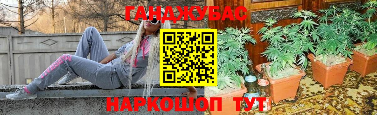 Марихуана гибрид Чернушка